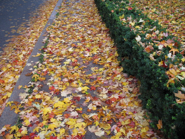 Sidewalk