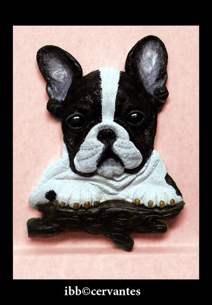 PIED FRENCHIE PUPPY