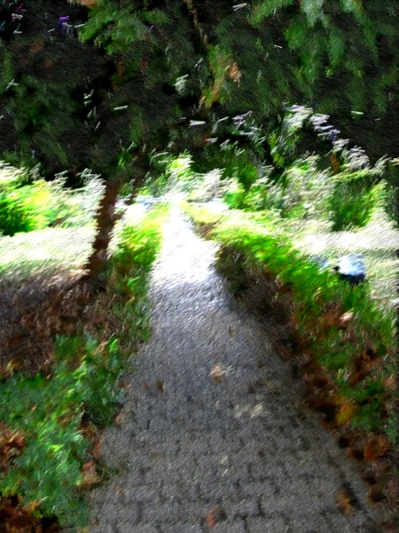 Light on the Path