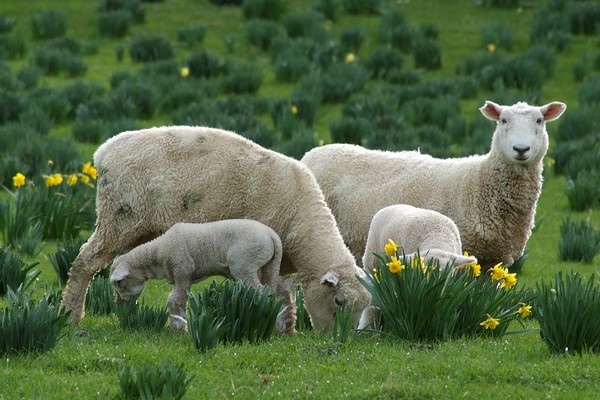 Signs of Spring