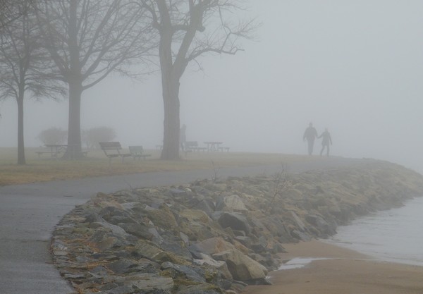 Shrouded in Fog