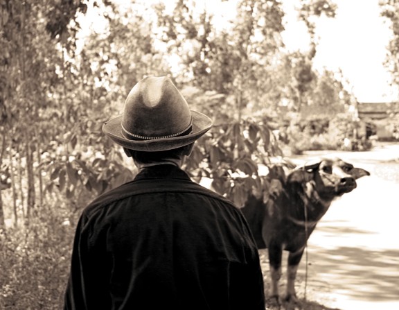 A Man and His Water Buffalo
