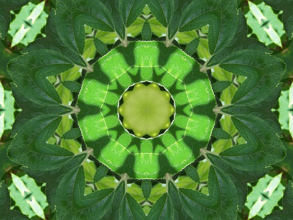 All green