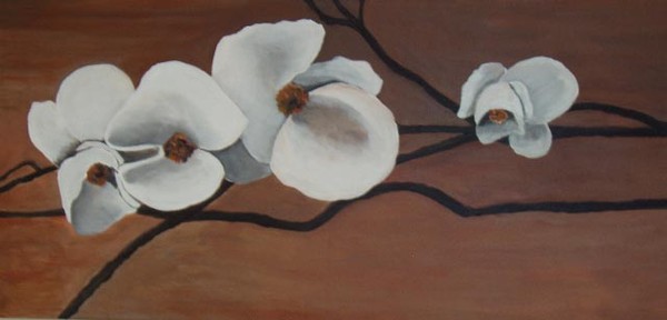 Cherry blossoms
