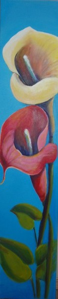 Two Calla Lilies