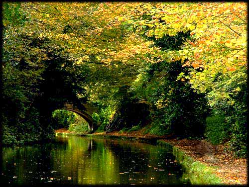Canal Turn
