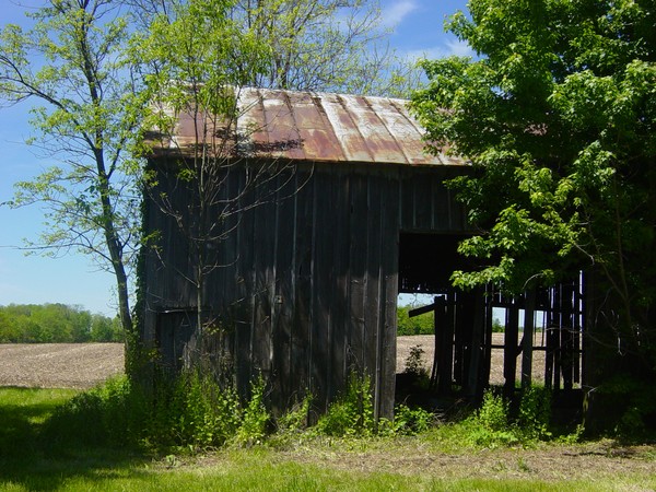 One Barn of Two