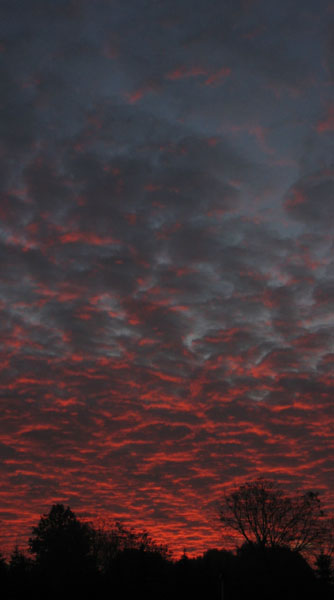 Red Dawn