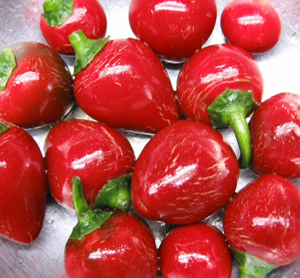 Reds