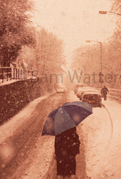An umbrella for the snow