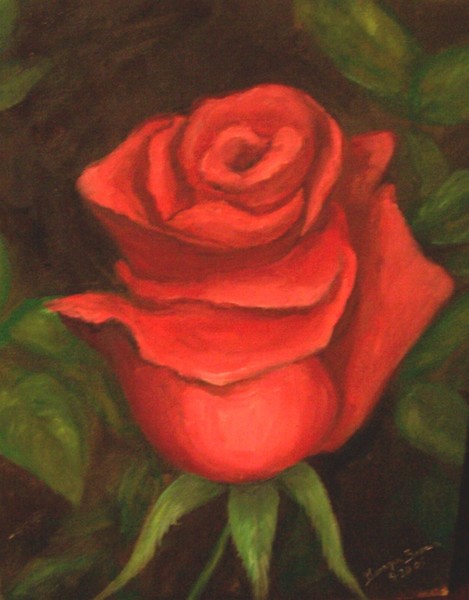 a single rose