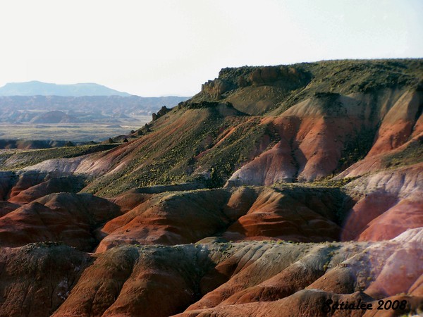The Painted Desert II