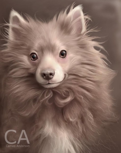 Monochrome Mutt