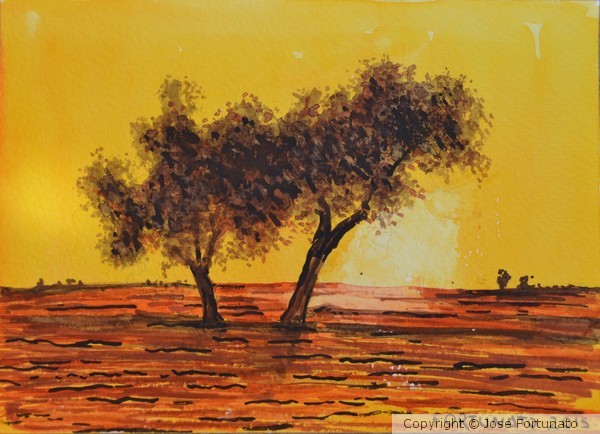 Entardecer no Alentejo