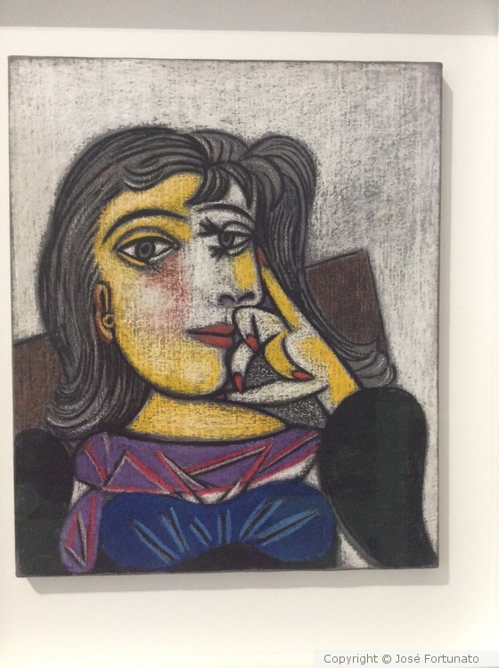 Museu Picasso, Paris