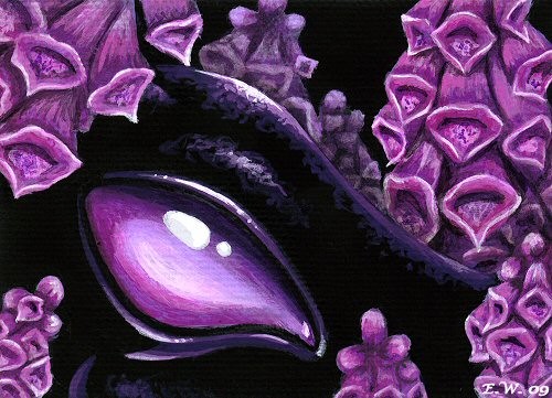 In The Foxgloves
