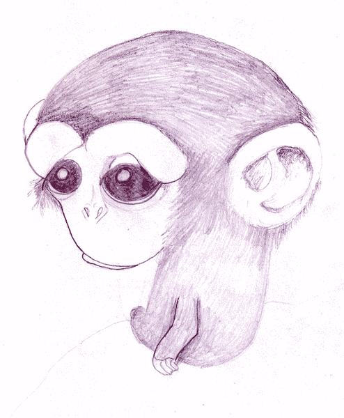 Tiny Cute Baby Monkey