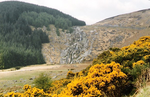 Sally Gap