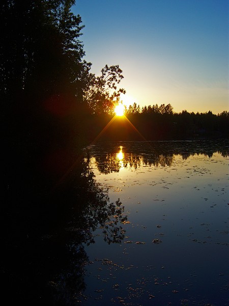 Golden Reflections
