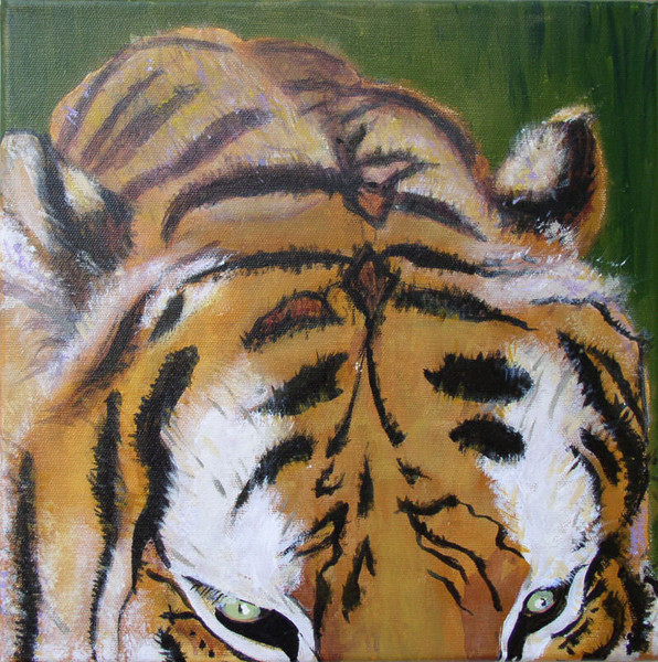 tiger