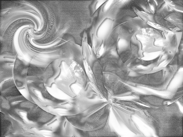 21441 1273969 (2)