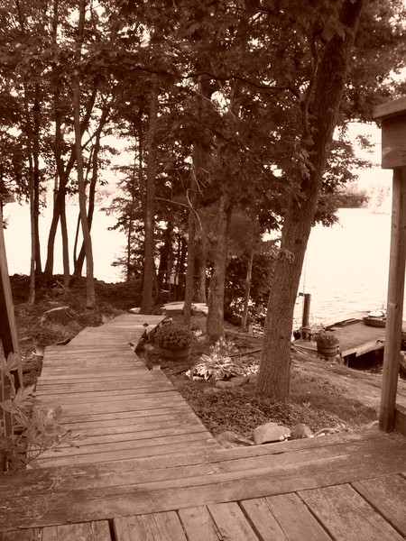 View From The Upper Deck