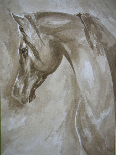 caballo arabe tinta