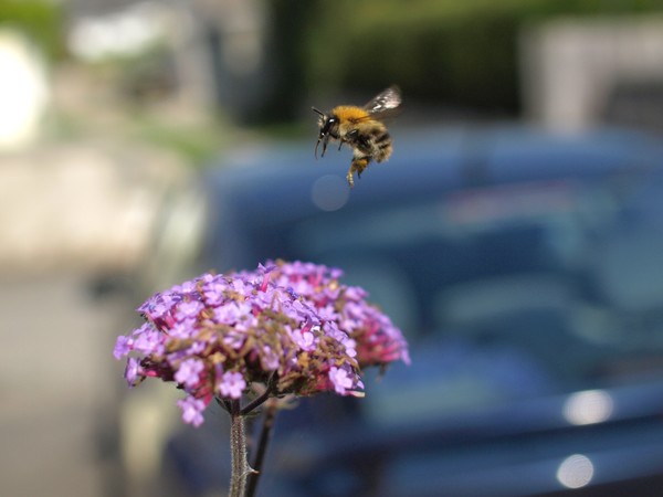 Landing Zone