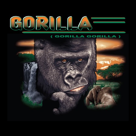 Gorilla