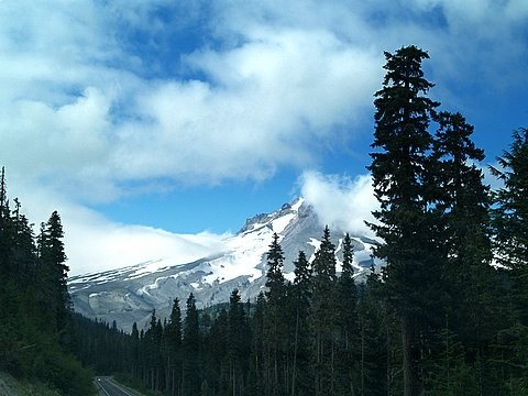 Mt Hood