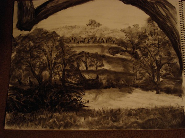 study in Value--lostlake ca.