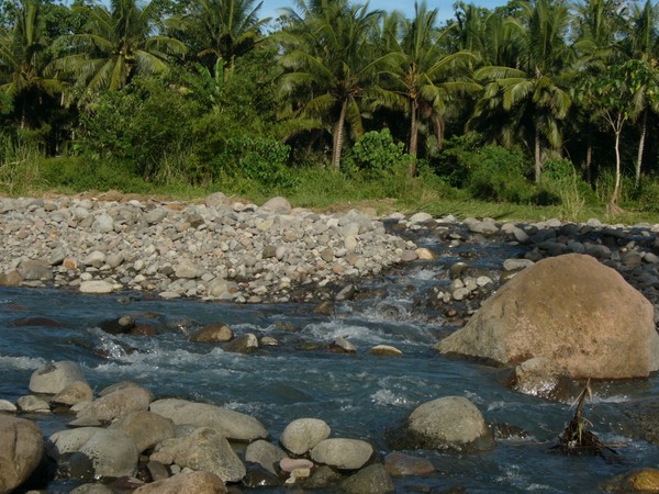 The Rapids