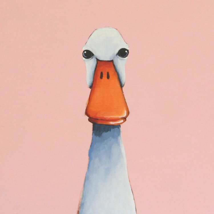 Little Duck