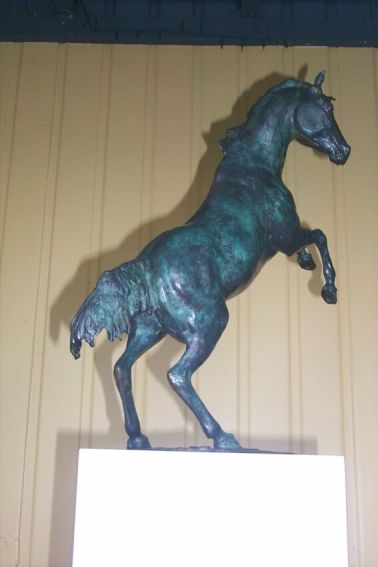 rearing Horse