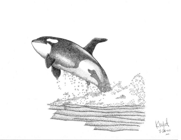 Killer Whale