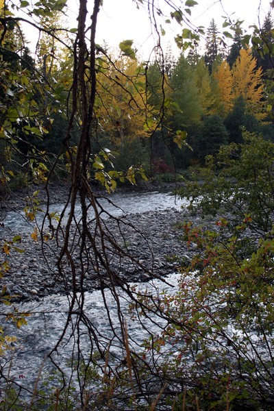 Waning Light