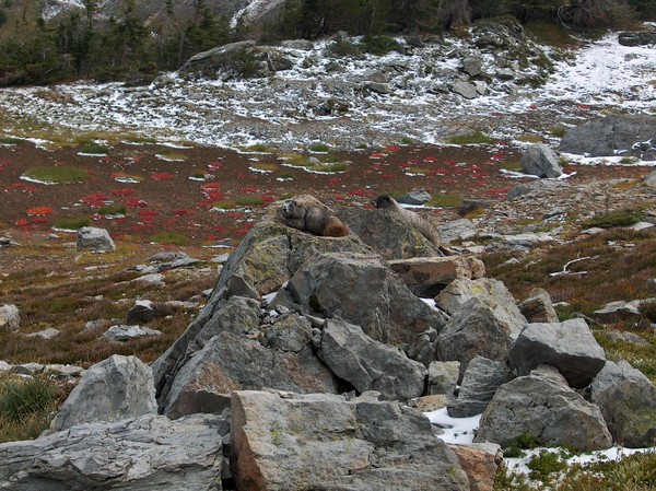 The Leeward Side of the Rocks