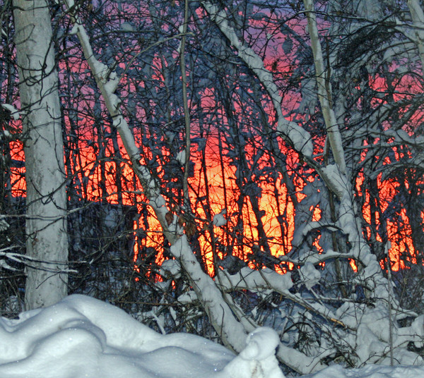 Fire and Ice