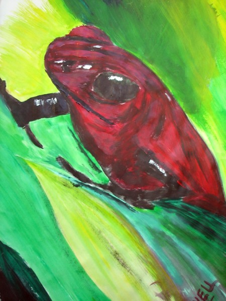 a frog of  a day