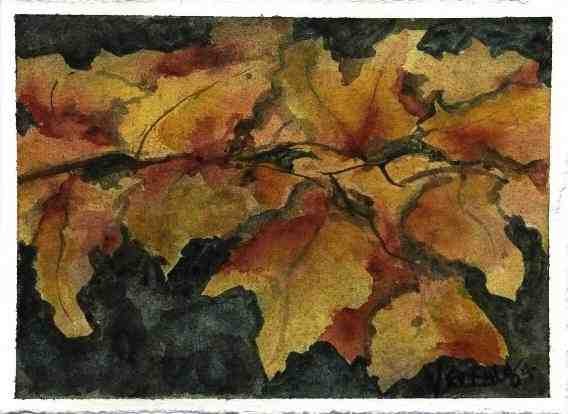 Chalk MapleLeaves