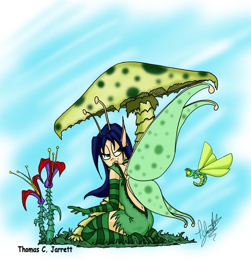 Mushroom Fairy