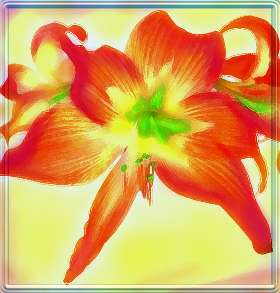 RED HOT ORCHID HYBRID