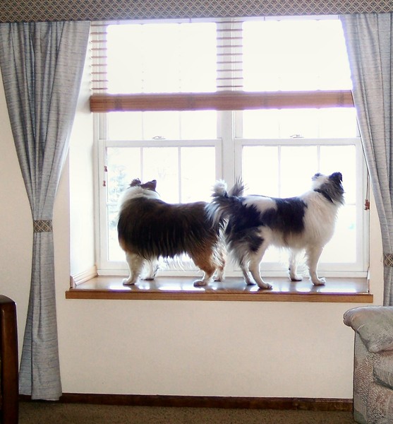 On the Look Out