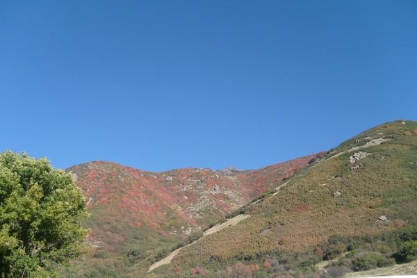 Fall in wyoming