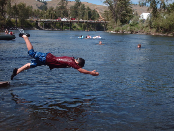 Dive in a have some summer fun