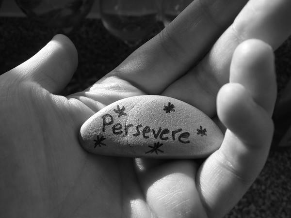 Persevere