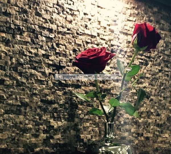 Roses 