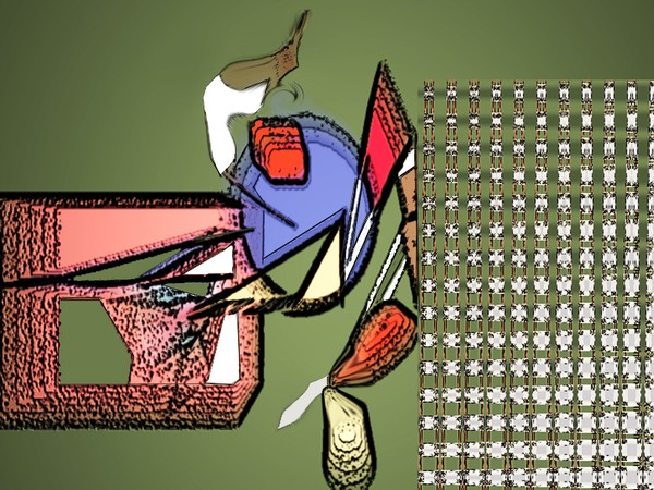 F119