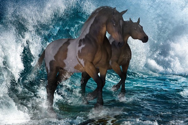 Horse waves