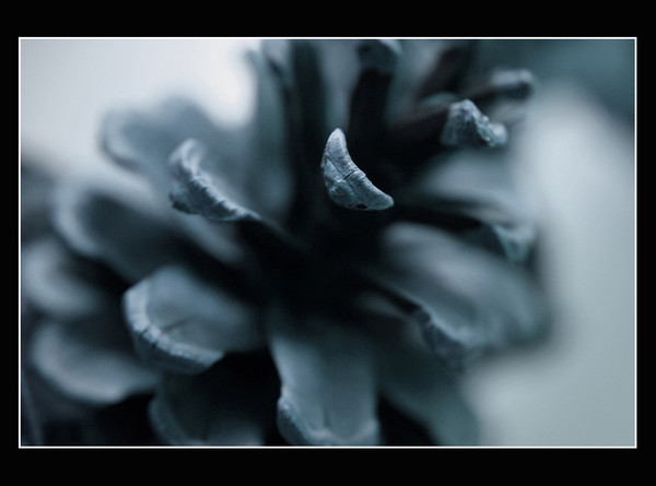 One